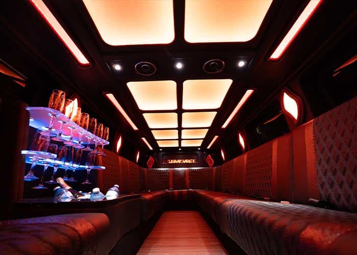 20 Passenger Hummer Limo - View 10