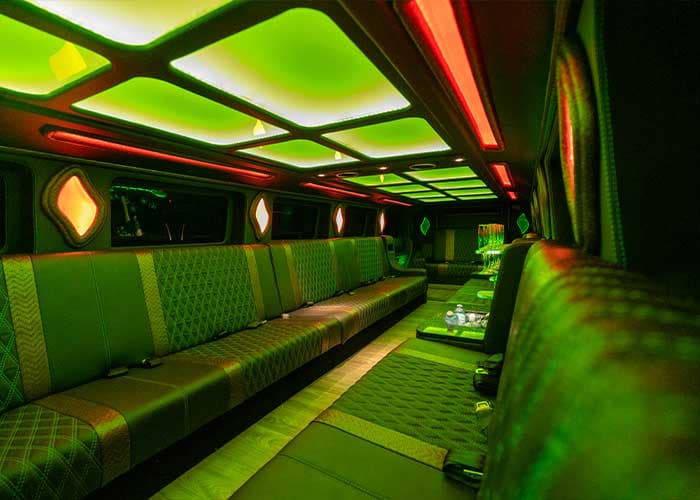 20 Passenger Hummer Limo - View 8