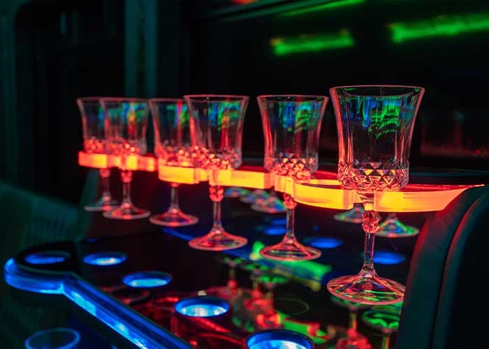 20 Passenger Party Bus - View 10