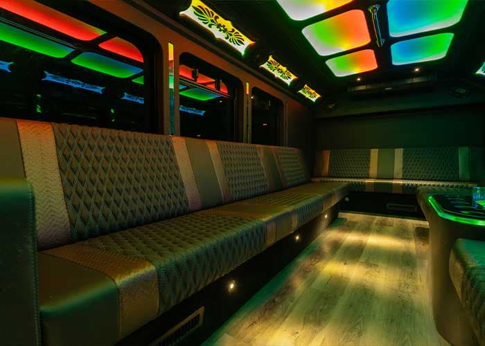 20 Passenger Party Bus - View 6